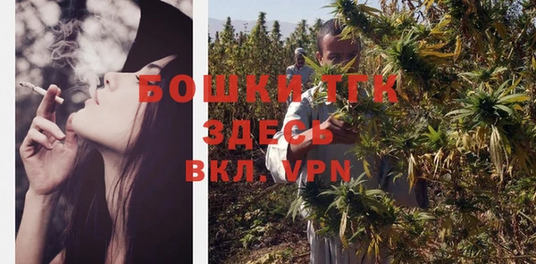 сатива Богородск