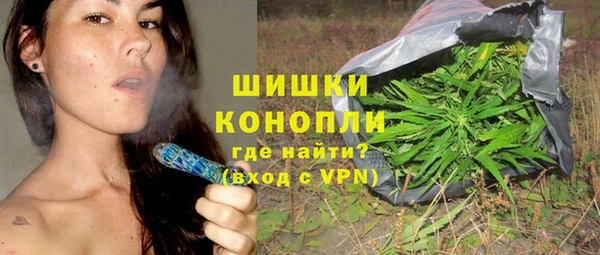 сатива Богородск