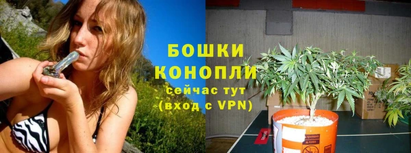 трава Богданович