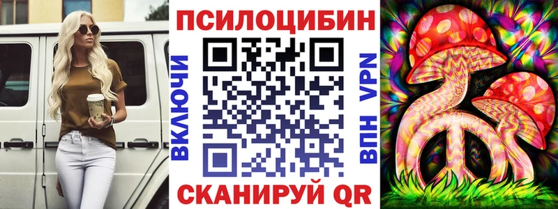 kraken вход  Томмот  Галлюциногенные грибы GOLDEN TEACHER 